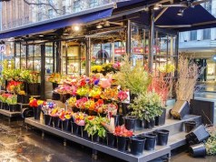 The Startups Taking Over the Floral Industry